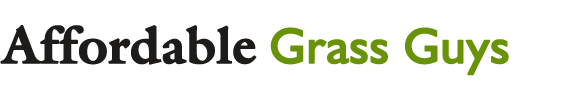 Affordable Grass Guys